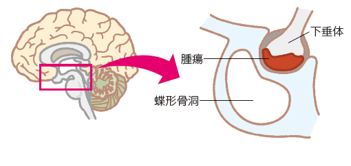 家に帰ったら何を期待するか